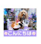マティラとノアールのごあいさつスタンプ♪（個別スタンプ：2）