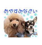 マティラとノアールのごあいさつスタンプ♪（個別スタンプ：4）