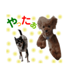 マティラとノアールのごあいさつスタンプ♪（個別スタンプ：17）