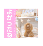 マティラとノアールのごあいさつスタンプ♪（個別スタンプ：27）