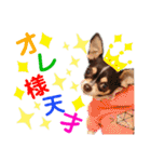 マティラとノアールのごあいさつスタンプ♪（個別スタンプ：32）