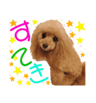 マティラとノアールのごあいさつスタンプ♪（個別スタンプ：33）