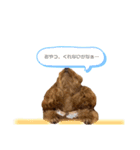 おペコさん（個別スタンプ：11）