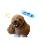 おペコさん（個別スタンプ：13）