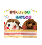 おペコさん（個別スタンプ：14）