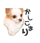 のあのあのあちゃん（個別スタンプ：2）