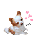 のあのあのあちゃん（個別スタンプ：6）
