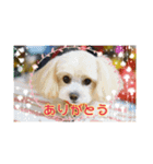 ♡୨୧日常スタンプ୨୧♡（個別スタンプ：1）