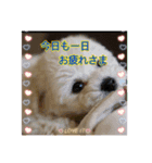 ♡୨୧日常スタンプ୨୧♡（個別スタンプ：2）