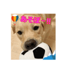 ♡୨୧日常スタンプ୨୧♡（個別スタンプ：3）