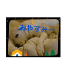 ♡୨୧日常スタンプ୨୧♡（個別スタンプ：7）
