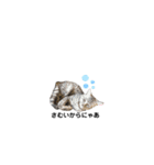 ねこのうなぎスタンプ(大)（個別スタンプ：24）