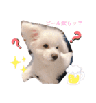アロ＆マハ（個別スタンプ：5）