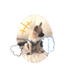 アロ＆マハ（個別スタンプ：10）
