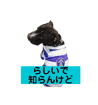 金太郎すたんぷ（個別スタンプ：12）