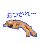こじとあずき（個別スタンプ：7）