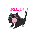 猫とデグー（個別スタンプ：2）