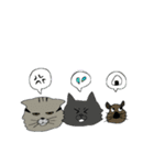 猫とデグー（個別スタンプ：26）