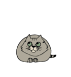 猫とデグー（個別スタンプ：31）