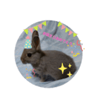 うさぎスタ★ココ（個別スタンプ：3）