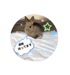 うさぎスタ★ココ（個別スタンプ：8）