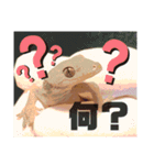 今日のアニエス（個別スタンプ：2）