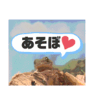 今日のアニエス（個別スタンプ：3）
