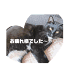 ayujin（個別スタンプ：8）