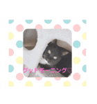 ayujin（個別スタンプ：12）