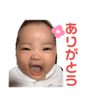himawaristamp（個別スタンプ：12）