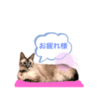 88やや66むむ（個別スタンプ：8）