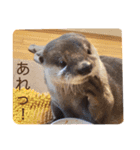 竹千代の日常（個別スタンプ：8）