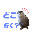 竹千代の日常（個別スタンプ：14）