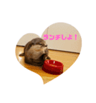 竹千代の日常（個別スタンプ：15）