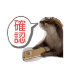 竹千代の日常（個別スタンプ：17）