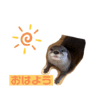 竹千代の日常（個別スタンプ：21）