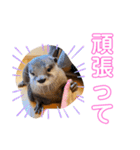 竹千代の日常（個別スタンプ：22）