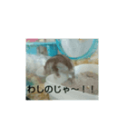 くー＆きー（個別スタンプ：6）