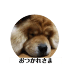 もっちゃんともふもふの日々2（個別スタンプ：4）