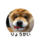 もっちゃんともふもふの日々2（個別スタンプ：6）