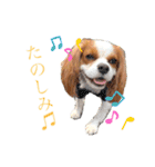 コムノアルイの日常（個別スタンプ：3）