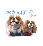 コムノアルイの日常（個別スタンプ：9）