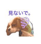 コムノアルイの日常（個別スタンプ：10）