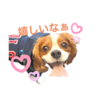 コムノアルイの日常（個別スタンプ：11）