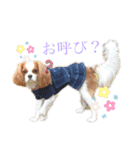 コムノアルイの日常（個別スタンプ：17）