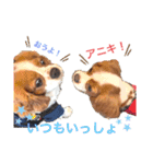 コムノアルイの日常（個別スタンプ：18）