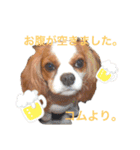 コムノアルイの日常（個別スタンプ：19）