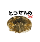 かにさんこんにちは、ねこちゃんもいるよ（個別スタンプ：4）