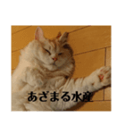 ラガマフィンのさすけ その3（個別スタンプ：3）