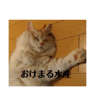ラガマフィンのさすけ その3（個別スタンプ：4）